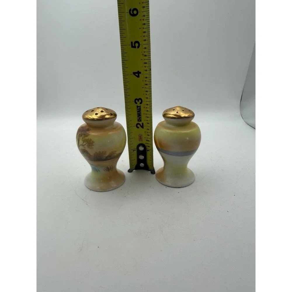 Vintage Hand Painted Porcelain Salt & Pepper Shakers Scenic Landscape